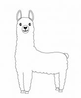 lama transparent